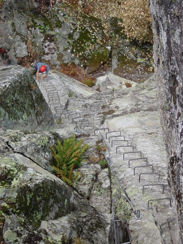 Bois des Baltuergues: baltuergues19.jpg