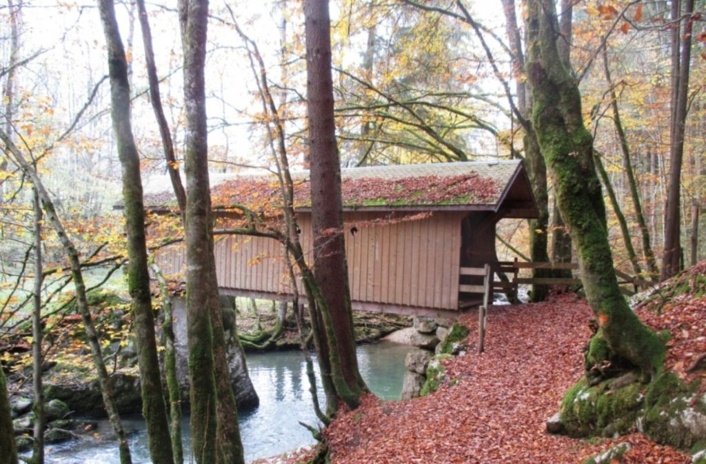 La Cascade des Nants: bellevaux010.jpg
