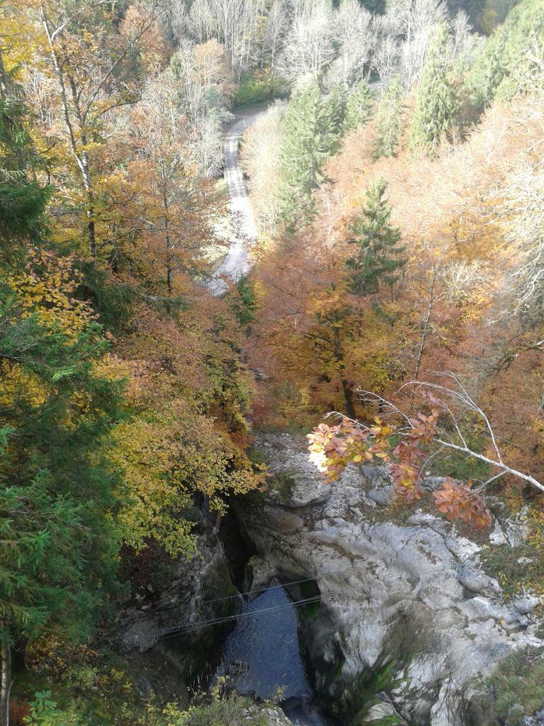 La Cascade des Nants: bellevaux031.jpg