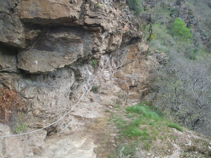 Roc del Gorb: boretbar001.jpg