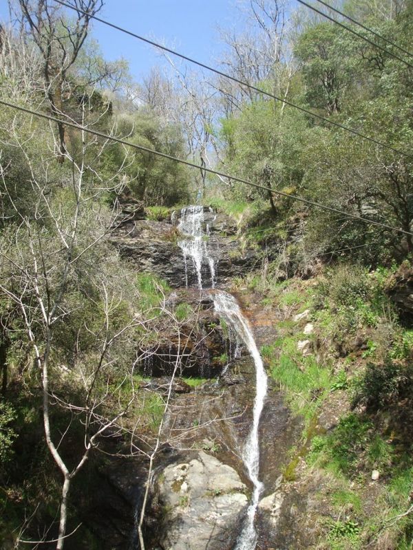 Roc del Gorb: boretbar003.jpg