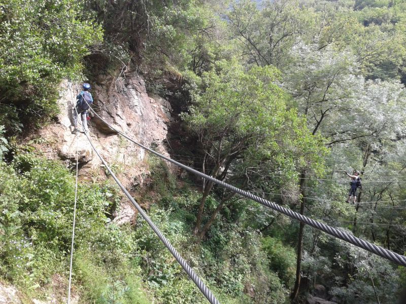 Roc del Gorb: boretbar006.jpg