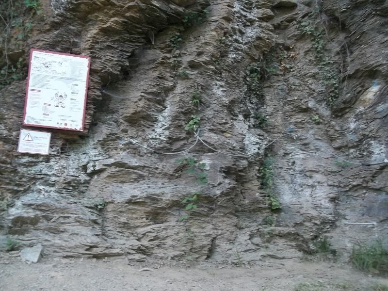 Roc del Gorb: boretbar009.jpg