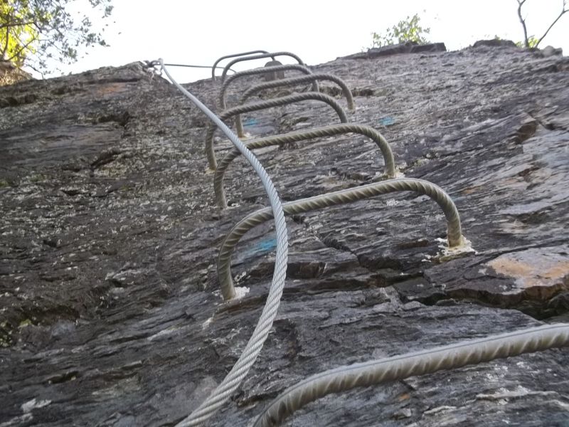 Roc del Gorb: boretbar013.jpg