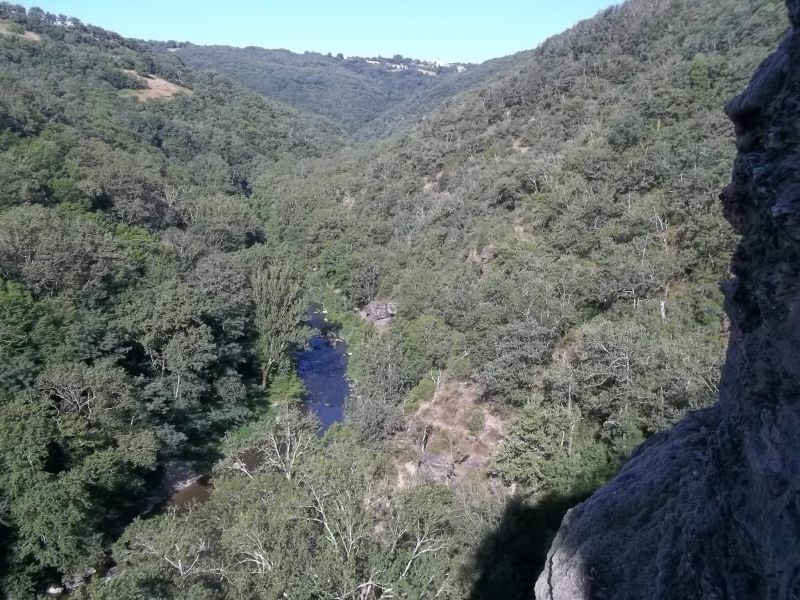 Roc del Gorb: boretbar015.jpg
