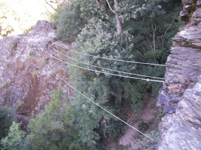 Roc del Gorb: boretbar016.jpg