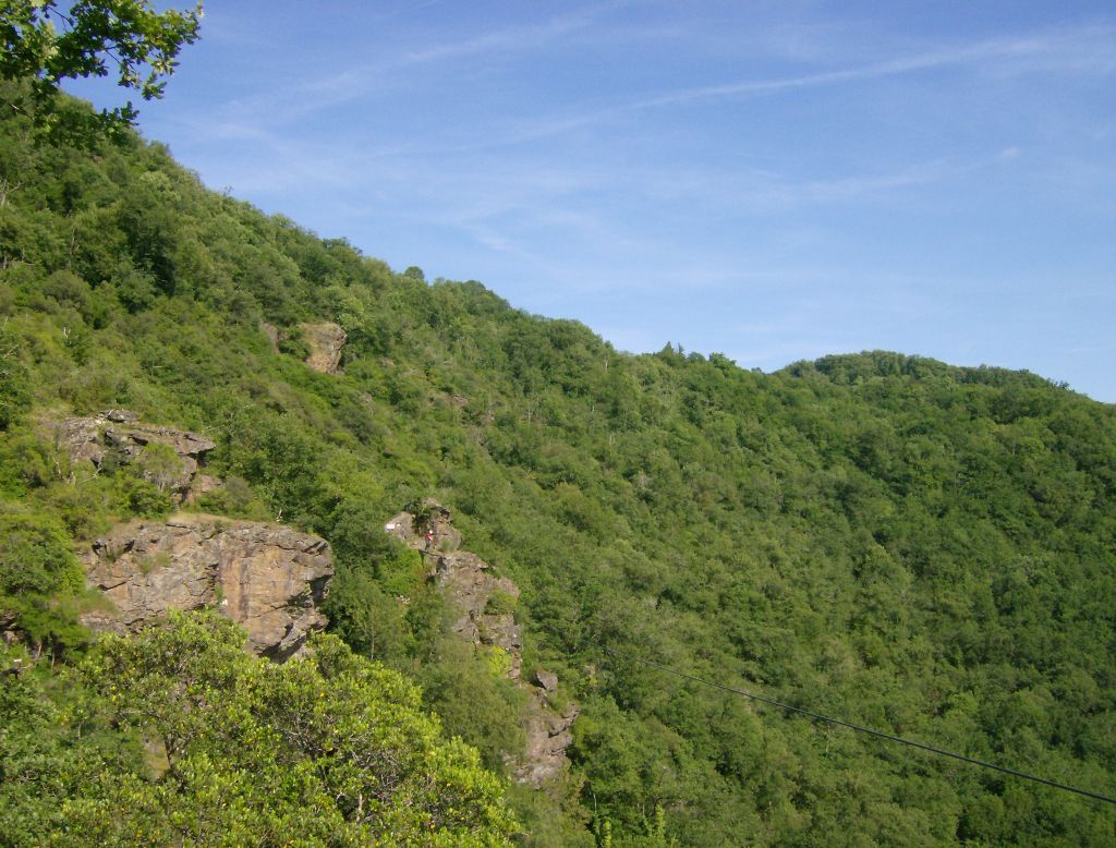Roc del Gorb: boretbar030.jpg