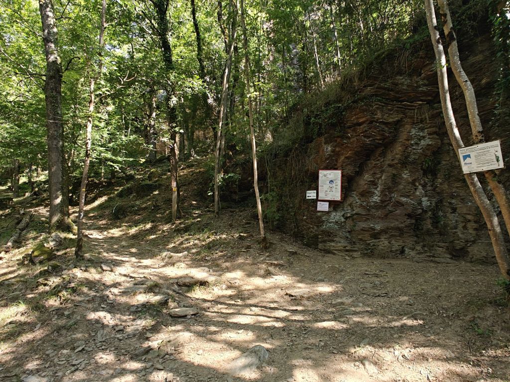 Roc del Gorb: boretbar033.jpg