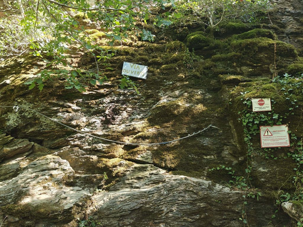 Roc del Gorb: boretbar037.jpg