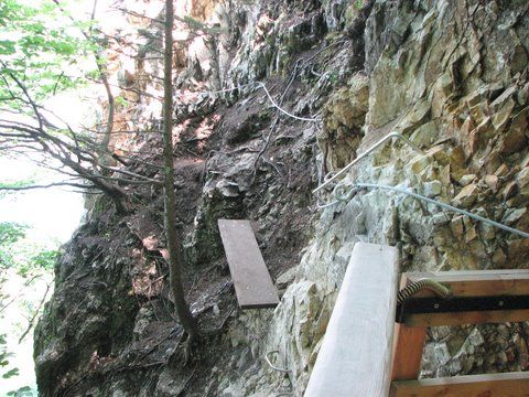 La Primev�re � Oreille d'Ours: bourdeau012.jpg