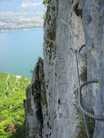 La Primev�re � Oreille d'Ours: bourdeau015.jpg