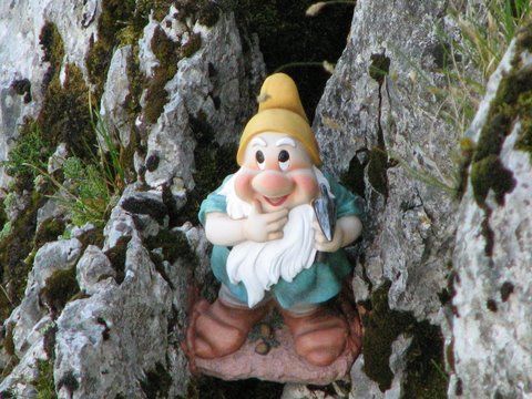 La Primev�re � Oreille d'Ours: bourdeau016.jpg