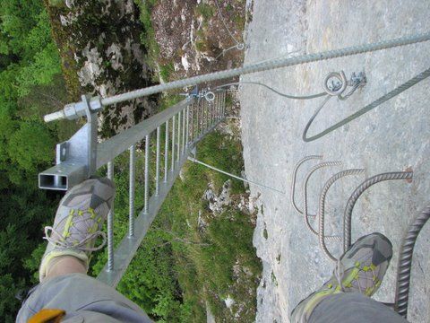 La Primev�re � Oreille d'Ours: bourdeau017.jpg