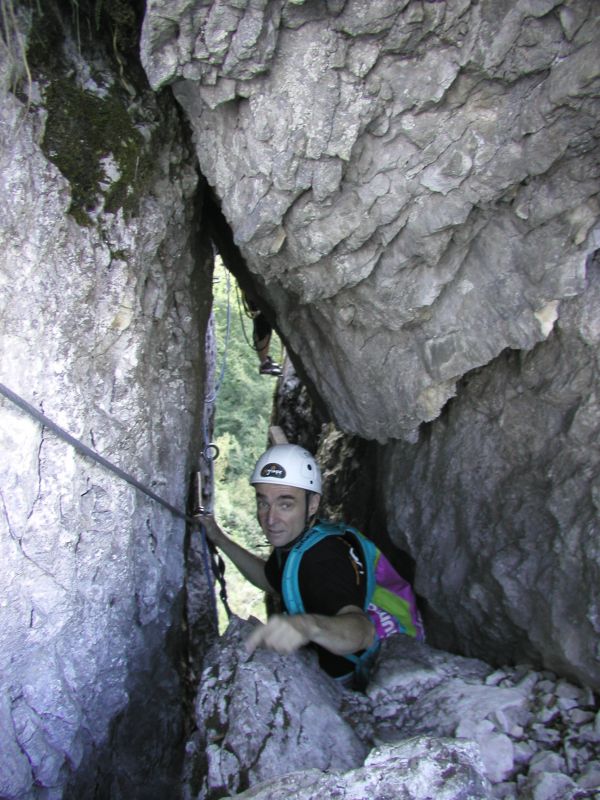 La Primev�re � Oreille d'Ours: bourdeau026.jpg