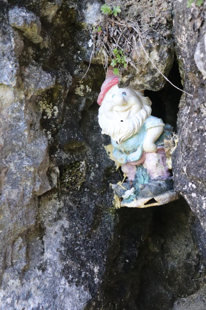La Primev�re � Oreille d'Ours: bourdeau085.jpg