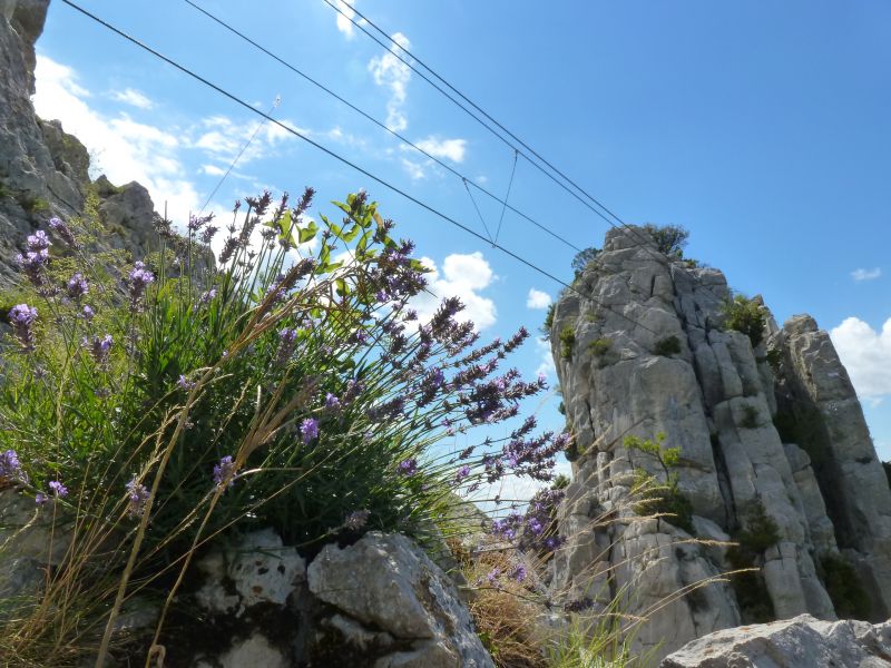Rocher du Saint-Julien: buislesbaronnies085.jpg