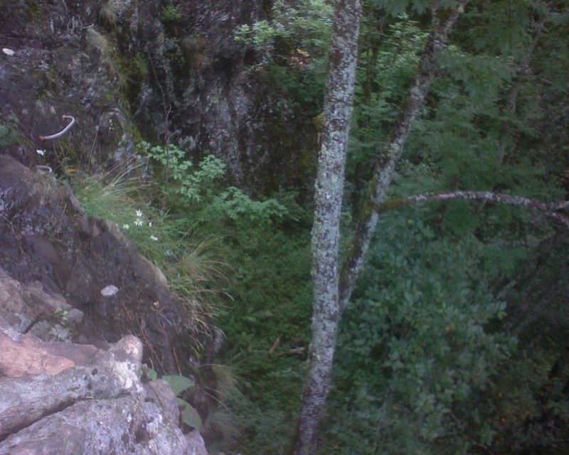 Rando-ferrata de la source de la Moselle: bussang003.jpg