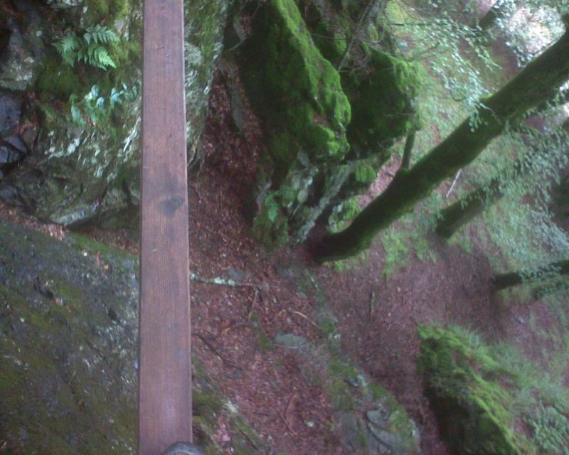 Rando-ferrata de la source de la Moselle: bussang005.jpg