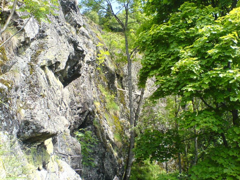 Rando-ferrata de la source de la Moselle: bussang008.jpg