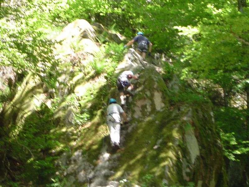 Rando-ferrata de la source de la Moselle: bussang011.jpg