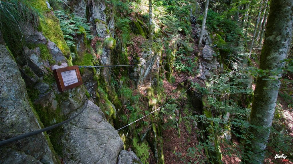 Rando-ferrata de la source de la Moselle: bussang028.jpg