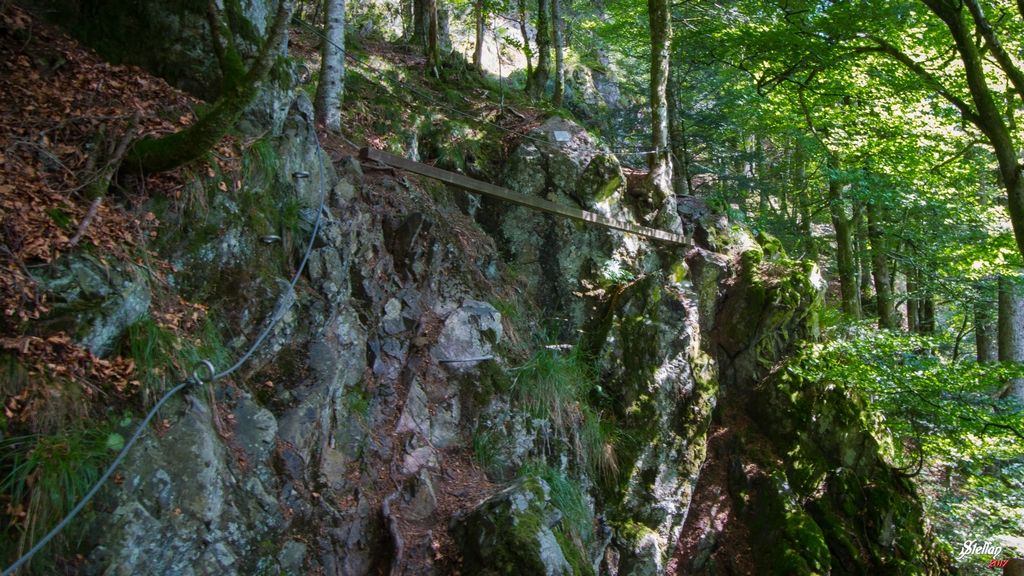 Rando-ferrata de la source de la Moselle: bussang030.jpg