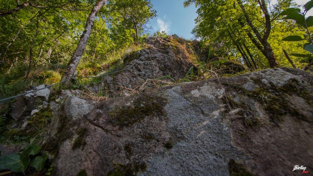 Rando-ferrata de la source de la Moselle: bussang035.jpg