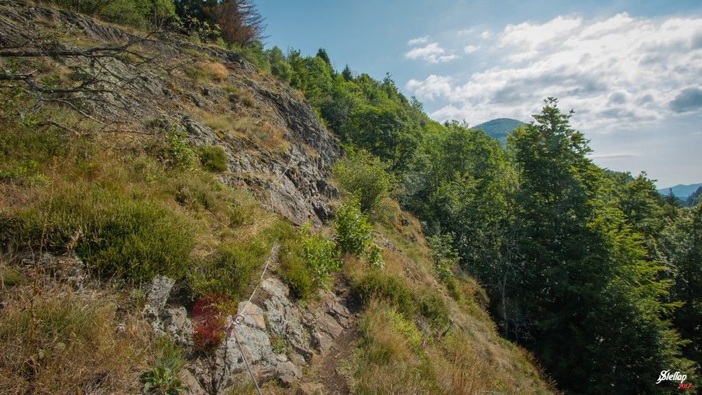 Rando-ferrata de la source de la Moselle: bussang037.jpg