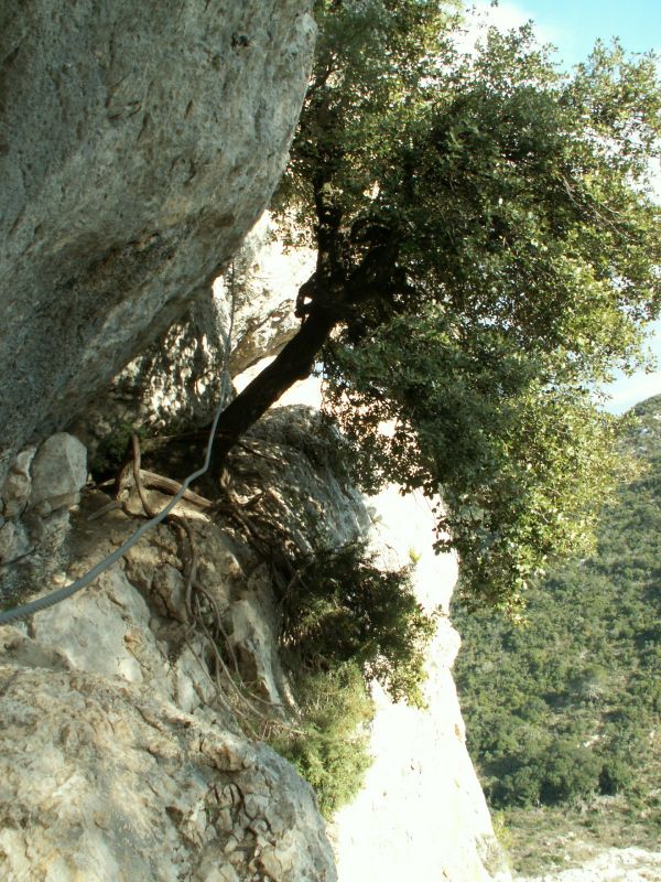 Les Gorges du Gardon: collias008.jpg
