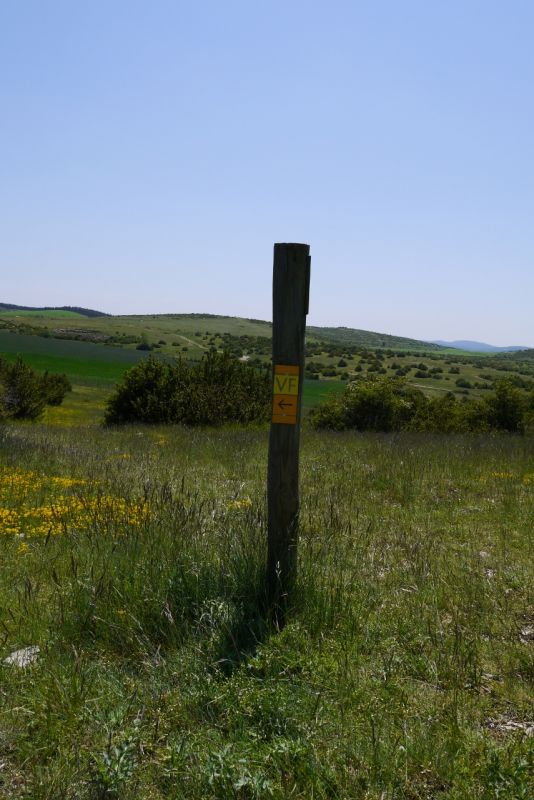 Rochefort: florac020.jpg