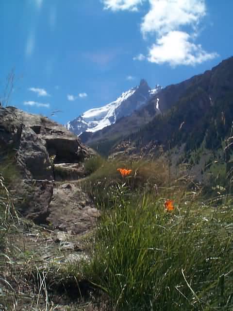 Les mines du Grand Cl�t: grave10.jpg