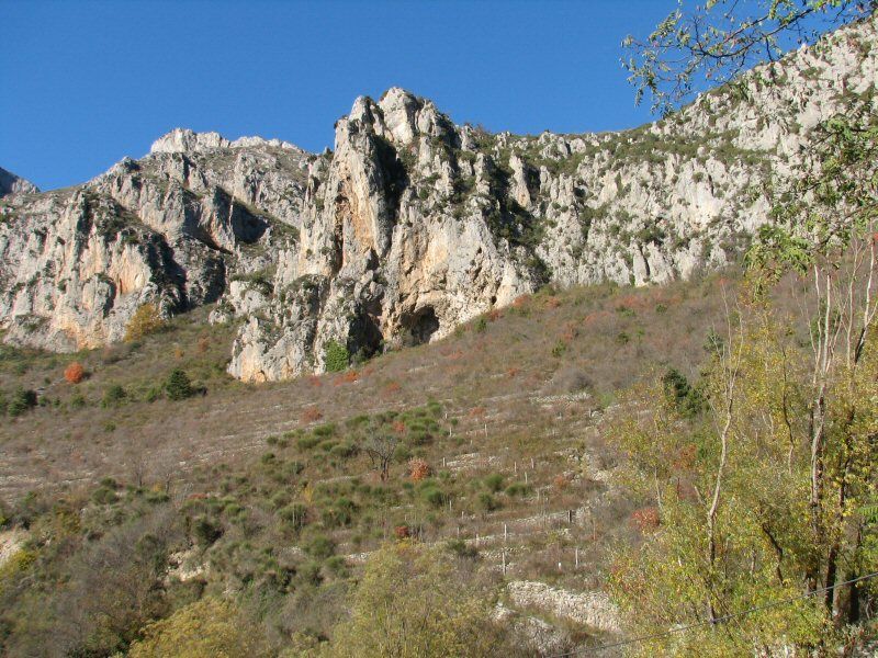 La Ciappea: labrigue001.jpg