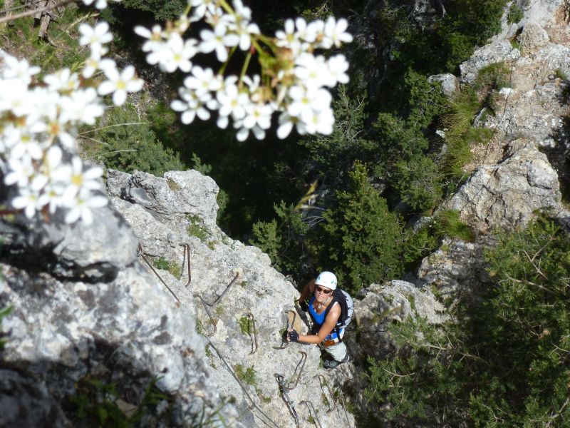 Le Baus de la Frema: lacolmiane019.jpg