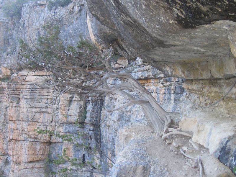 Les Gorges d'Agnielles: lafaurie007.jpg