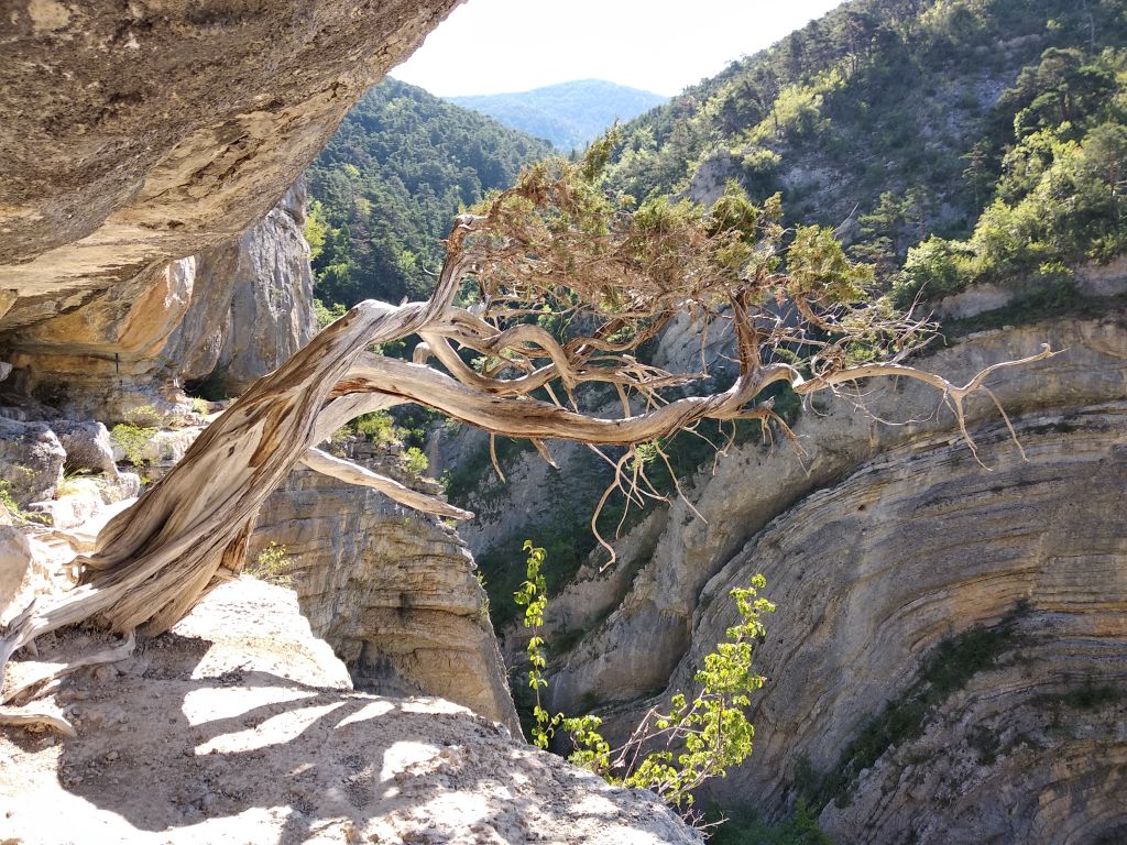 Les Gorges d'Agnielles: lafaurie026.jpg