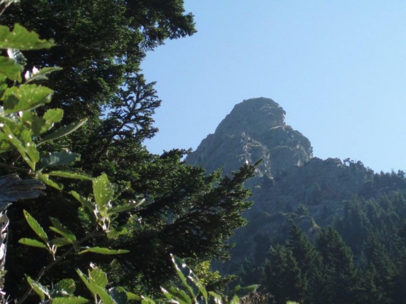 Le Grand Bec: lalpedugrandserre026.jpg