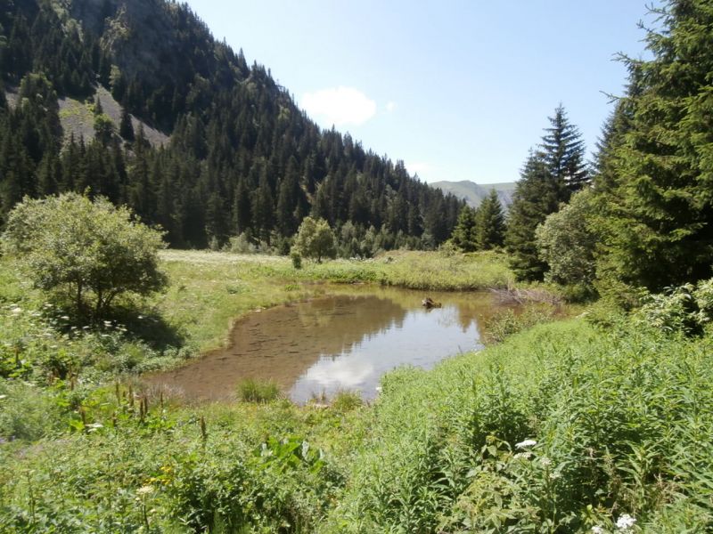 La Cascade: lalpedugrandserre047.jpg