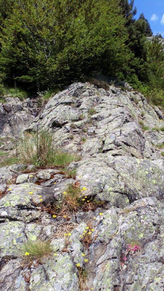 La Cascade: lalpedugrandserre056.jpg