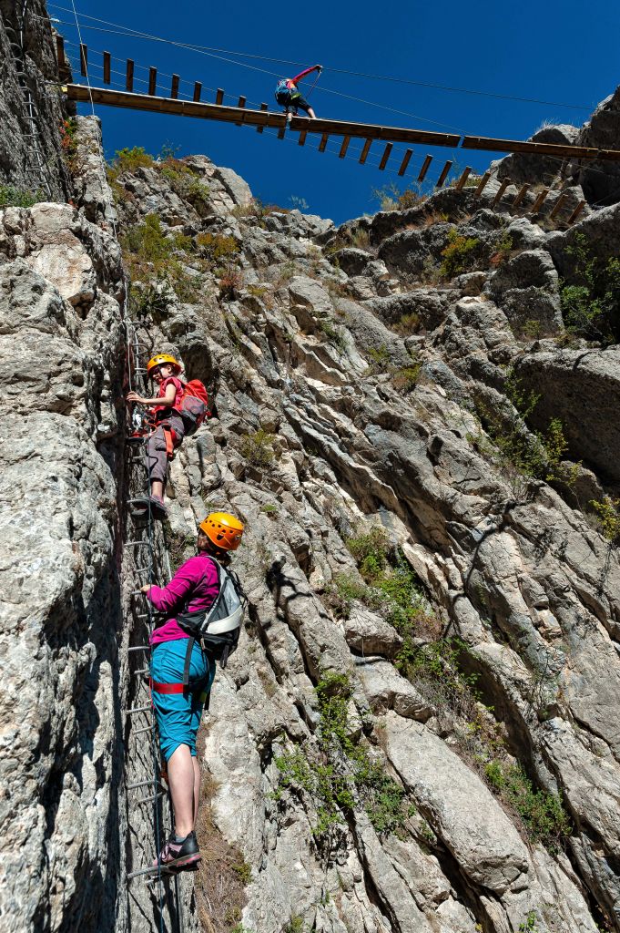 Ferrata familia des Ammonites: lecaire107.jpg