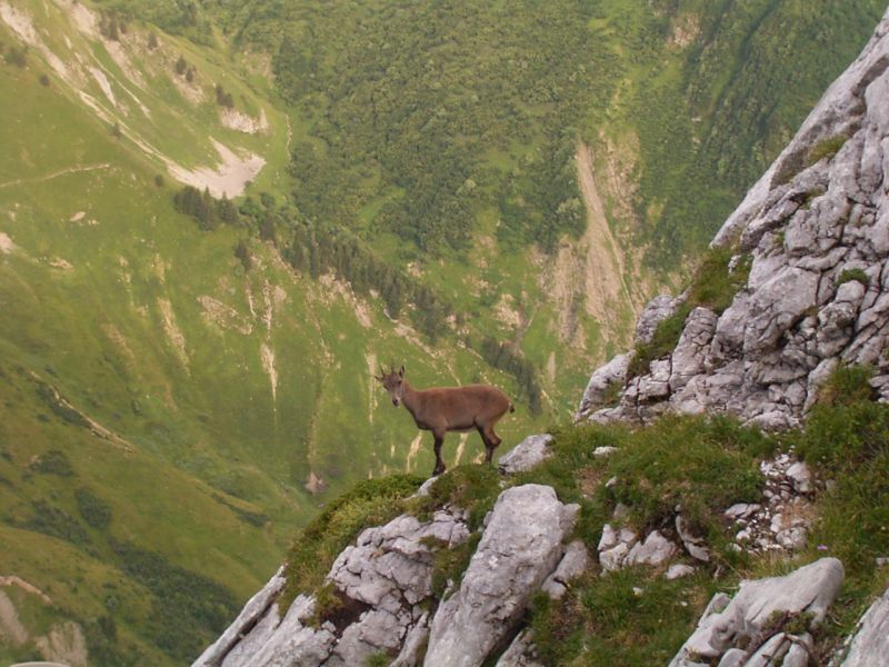 La tour du Jallouvre: legrandbornand001.jpg