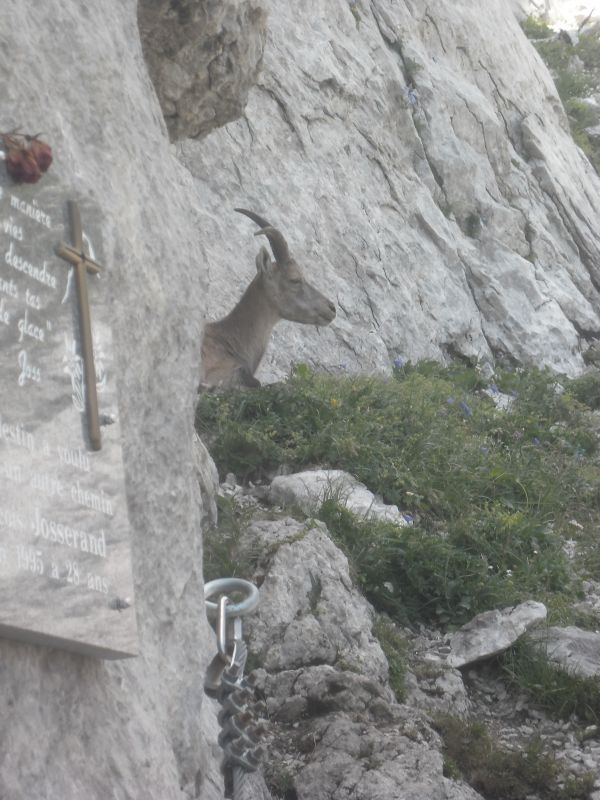 La tour du Jallouvre: legrandbornand021.jpg