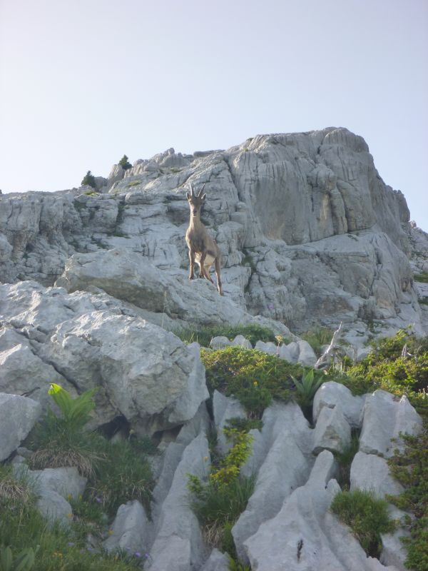 La tour du Jallouvre: legrandbornand024.jpg