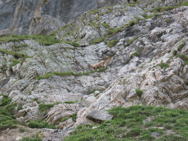 L'Aiguillette du Lauzet: lelauzet002.jpg