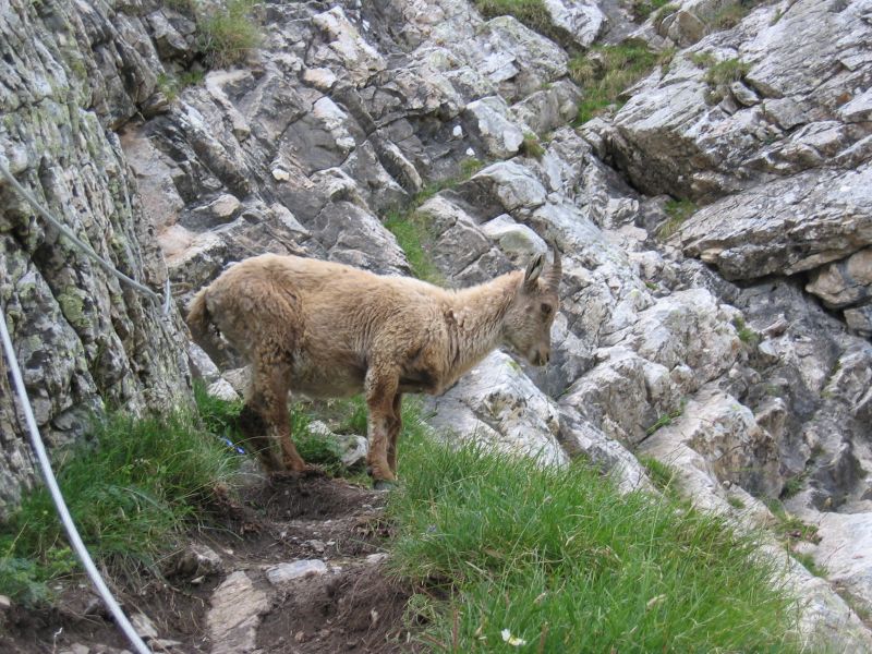 L'Aiguillette du Lauzet: lelauzet003.jpg