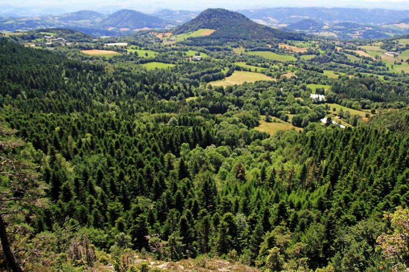 Puy des Juscles: lepertuis026.jpg