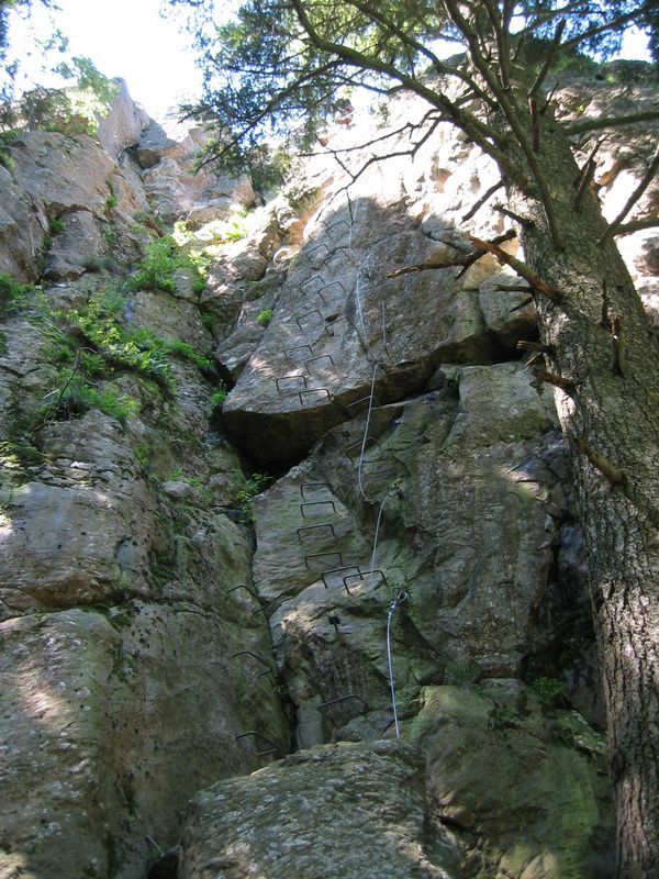 Puy des Juscles: lepertuis037.jpg