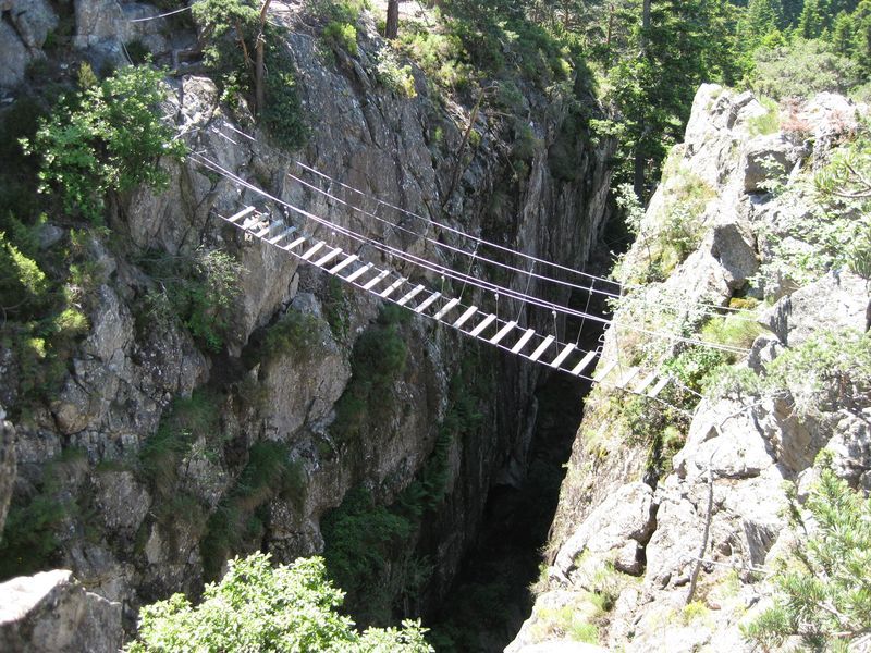 Puy des Juscles: lepertuis038.jpg