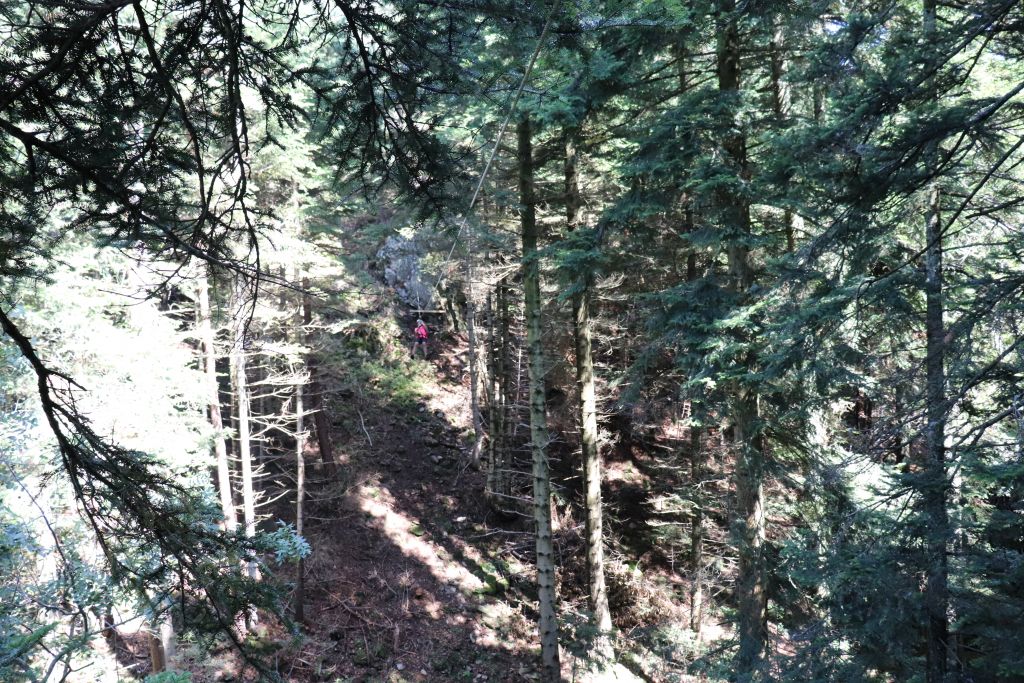Puy des Juscles: lepertuis057.jpg