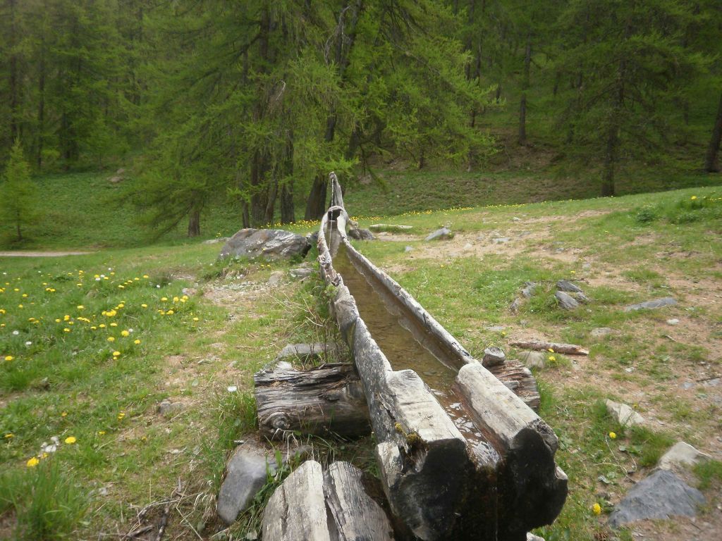 Marcellinas: lesorres015.jpg