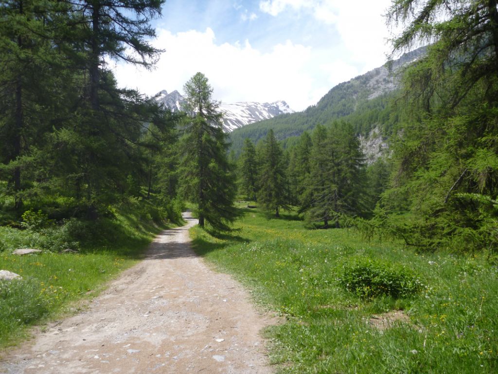 Marcellinas: lesorres026.jpg